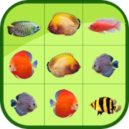 爱体育app